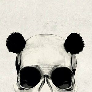 Meet your Posher, Josh